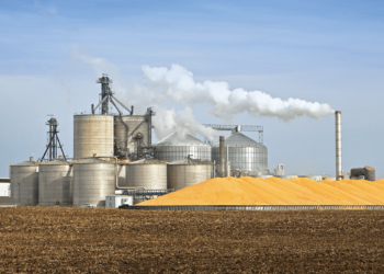 Green Barrels: The Biofuel Revolution in Renewable Energy